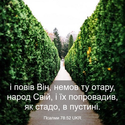 Picture 03 - Псалми 78:52 UKR - і повів Він, немов ту отару, - Bible Verse Picture