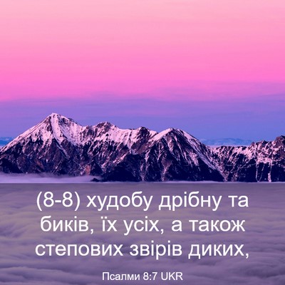 Picture 03 - Псалми 8:7 UKR - (8-8) худобу дрібну та биків, - Bible Verse Picture