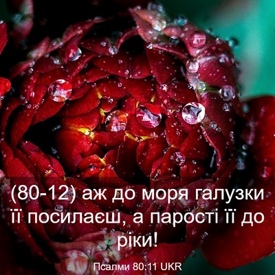 Picture 03 - Псалми 80:11 UKR - (80-12) аж до моря галузки її - Bible Verse Picture