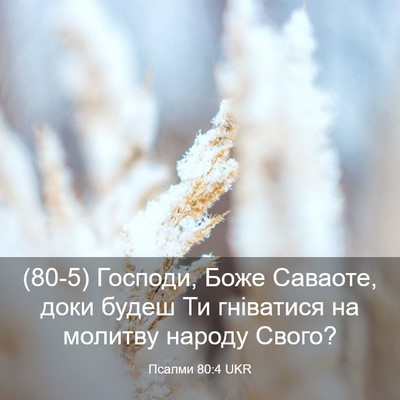 Picture 03 - Псалми 80:4 UKR - (80-5) Господи, Боже Саваоте, - Bible Verse Picture