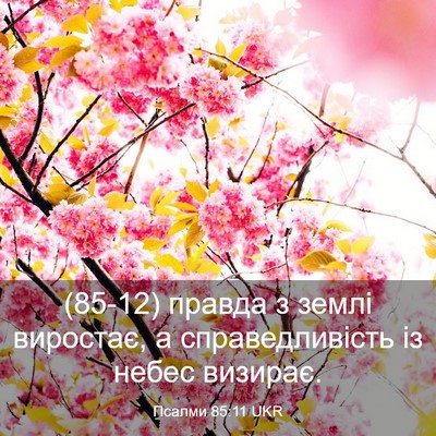 Picture 03 - Псалми 85:11 UKR - (85-12) правда з землі - Bible Verse Picture