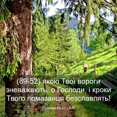 Picture 03 - Псалми 89:51 UKR - (89-52) якою Твої вороги - Bible Verse Picture