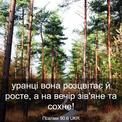Picture 03 - Псалми 90:6 UKR - уранці вона розцвітає й - Bible Verse Picture