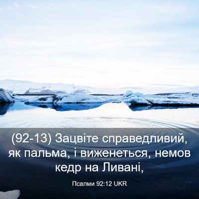 Picture 03 - Псалми 92:12 UKR - (92-13) Зацвіте справедливий, - Bible Verse Picture