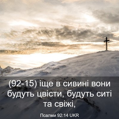 Picture 03 - Псалми 92:14 UKR - (92-15) іще в сивині вони - Bible Verse Picture
