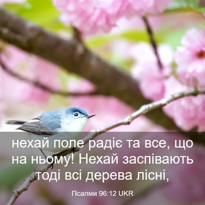 Picture 03 - Псалми 96:12 UKR - нехай поле радіє та все, що - Bible Verse Picture