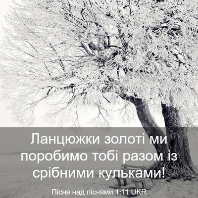 Picture 03 - Пісня над піснями 1:11 UKR - Ланцюжки золоті ми - Bible Verse Picture