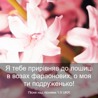 Picture 03 - Пісня над піснями 1:9 UKR - Я тебе прирівняв до лошиці - Bible Verse Picture