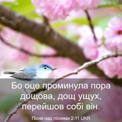 Picture 03 - Пісня над піснями 2:11 UKR - Бо оце проминула пора - Bible Verse Picture
