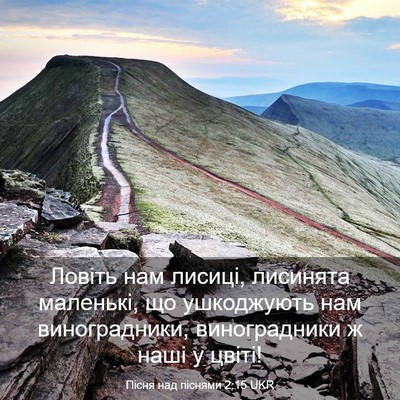 Picture 03 - Пісня над піснями 2:15 UKR - Ловіть нам лисиці, - Bible Verse Picture