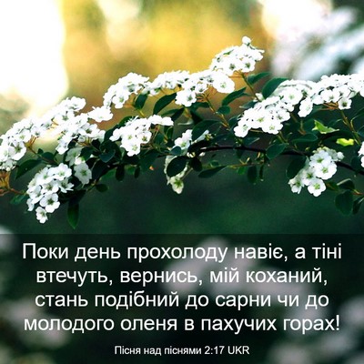 Picture 03 - Пісня над піснями 2:17 UKR - Поки день прохолоду навіє, - Bible Verse Picture