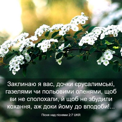 Picture 03 - Пісня над піснями 2:7 UKR - Заклинаю я вас, дочки - Bible Verse Picture