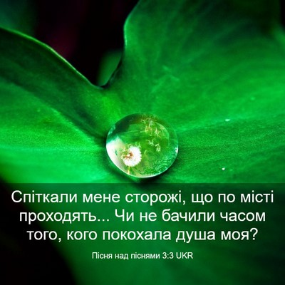 Picture 03 - Пісня над піснями 3:3 UKR - Спіткали мене сторожі, що - Bible Verse Picture