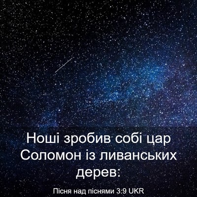 Picture 03 - Пісня над піснями 3:9 UKR - Ноші зробив собі цар - Bible Verse Picture