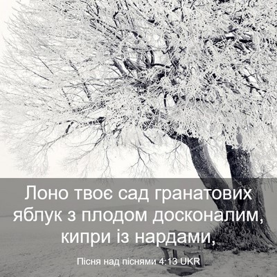 Picture 03 - Пісня над піснями 4:13 UKR - Лоно твоє сад гранатових - Bible Verse Picture