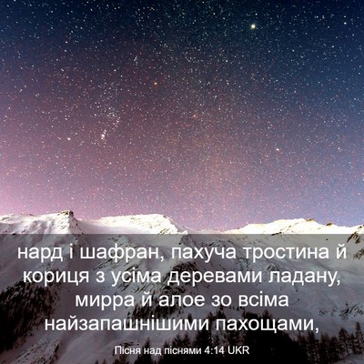 Picture 03 - Пісня над піснями 4:14 UKR - нард і шафран, пахуча - Bible Verse Picture