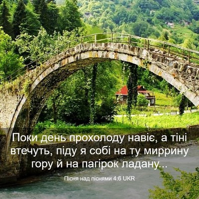Picture 03 - Пісня над піснями 4:6 UKR - Поки день прохолоду навіє, - Bible Verse Picture