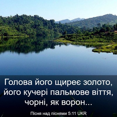 Picture 03 - Пісня над піснями 5:11 UKR - Голова його щиреє золото, - Bible Verse Picture