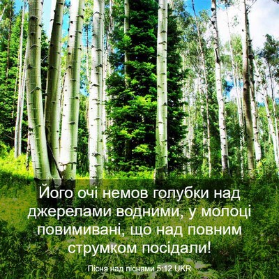Picture 03 - Пісня над піснями 5:12 UKR - Його очі немов голубки над - Bible Verse Picture