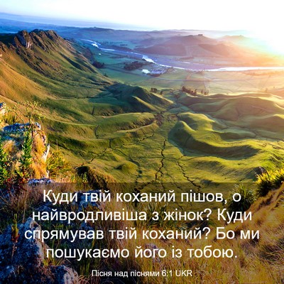Picture 03 - Пісня над піснями 6:1 UKR - Куди твій коханий пішов, о - Bible Verse Picture