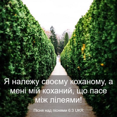 Picture 03 - Пісня над піснями 6:3 UKR - Я належу своєму коханому, а - Bible Verse Picture