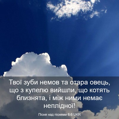 Picture 03 - Пісня над піснями 6:6 UKR - Твої зуби немов та отара - Bible Verse Picture
