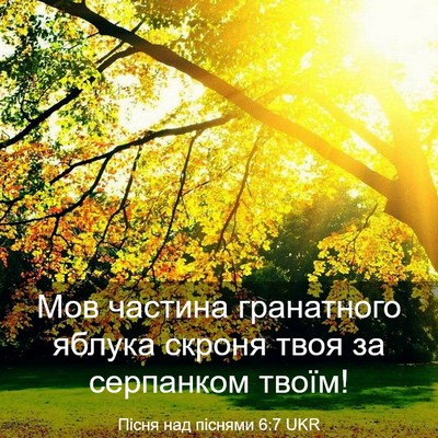 Picture 03 - Пісня над піснями 6:7 UKR - Мов частина гранатного - Bible Verse Picture