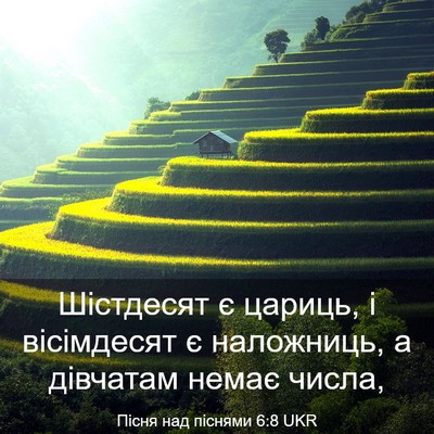 Picture 03 - Пісня над піснями 6:8 UKR - Шістдесят є цариць, і - Bible Verse Picture