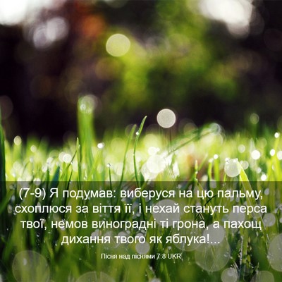Picture 03 - Пісня над піснями 7:8 UKR - (7-9) Я подумав: виберуся на - Bible Verse Picture