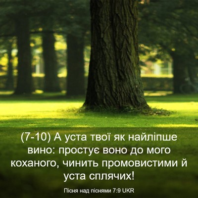 Picture 03 - Пісня над піснями 7:9 UKR - (7-10) А уста твої як найліпше - Bible Verse Picture