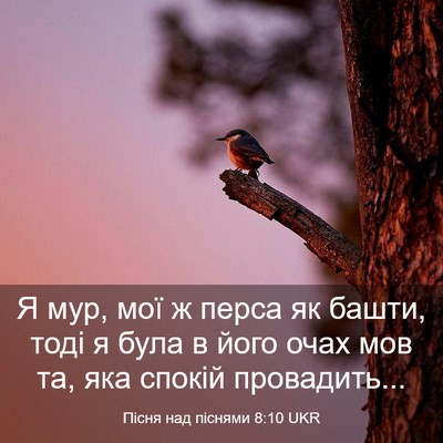 Picture 03 - Пісня над піснями 8:10 UKR - Я мур, мої ж перса як башти, - Bible Verse Picture