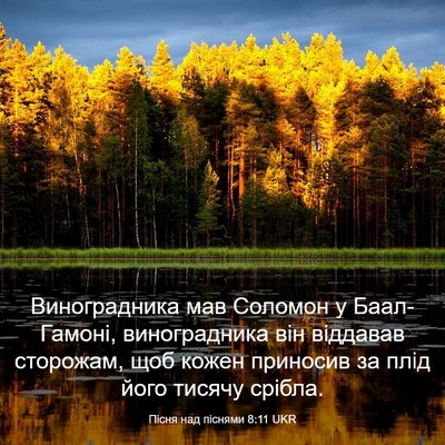 Picture 03 - Пісня над піснями 8:11 UKR - Виноградника мав Соломон у - Bible Verse Picture