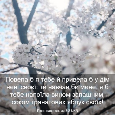 Picture 03 - Пісня над піснями 8:2 UKR - Повела б я тебе й привела б - Bible Verse Picture