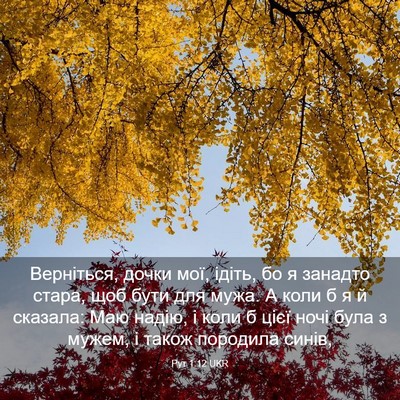 Picture 03 - Рут 1:12 UKR - Верніться, дочки мої, - Bible Verse Picture