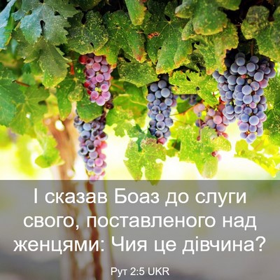 Picture 03 - Рут 2:5 UKR - І сказав Боаз до слуги - Bible Verse Picture