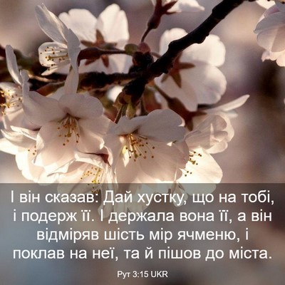 Picture 03 - Рут 3:15 UKR - І він сказав: Дай хустку, що - Bible Verse Picture
