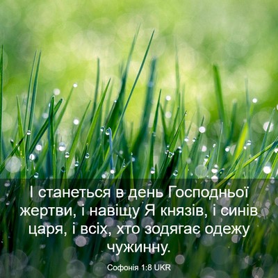 Picture 03 - Софонія 1:8 UKR - І станеться в день - Bible Verse Picture