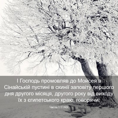 Picture 03 - Числа 1:1 UKR - І Господь промовляв до - Bible Verse Picture