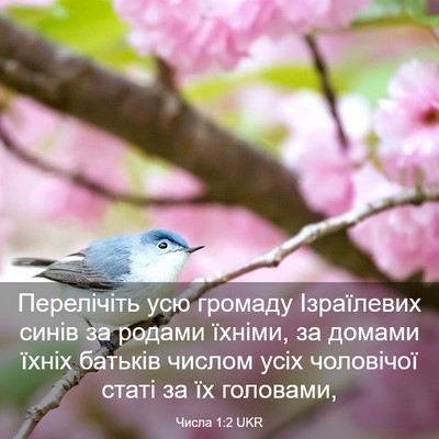 Picture 03 - Числа 1:2 UKR - Перелічіть усю громаду - Bible Verse Picture