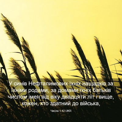 Picture 03 - Числа 1:42 UKR - У синів Нефталимових їхніх - Bible Verse Picture