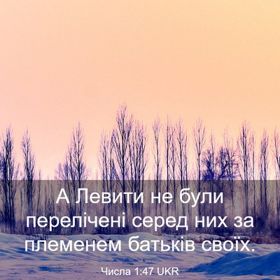 Picture 03 - Числа 1:47 UKR - А Левити не були - Bible Verse Picture