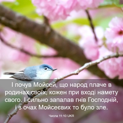 Picture 03 - Числа 11:10 UKR - І почув Мойсей, що народ - Bible Verse Picture