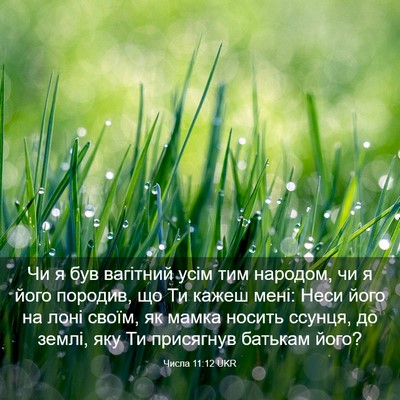 Picture 03 - Числа 11:12 UKR - Чи я був вагітний усім тим - Bible Verse Picture