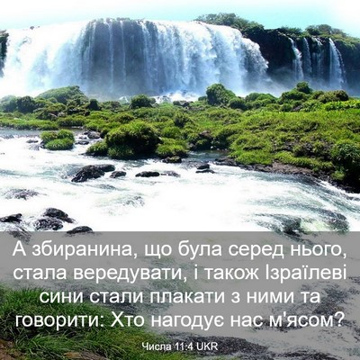 Picture 03 - Числа 11:4 UKR - А збиранина, що була серед - Bible Verse Picture