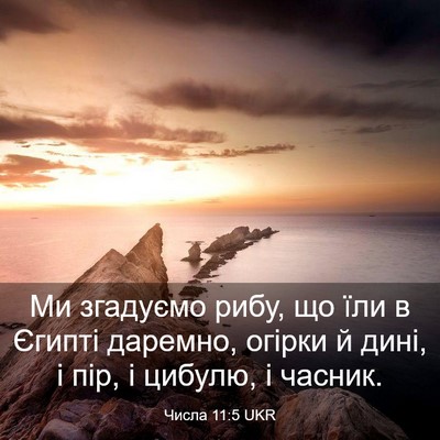 Picture 03 - Числа 11:5 UKR - Ми згадуємо рибу, що їли в - Bible Verse Picture