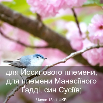 Picture 03 - Числа 13:11 UKR - для Йосипового племени, - Bible Verse Picture