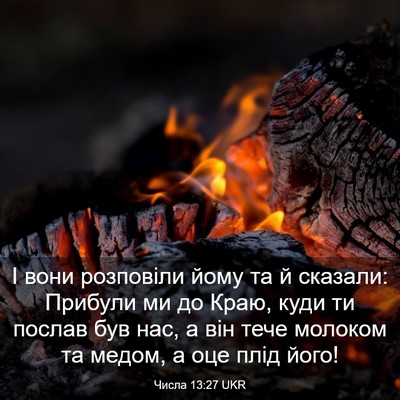 Picture 03 - Числа 13:27 UKR - І вони розповіли йому та й - Bible Verse Picture
