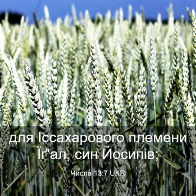 Picture 03 - Числа 13:7 UKR - для Іссахарового племени - Bible Verse Picture