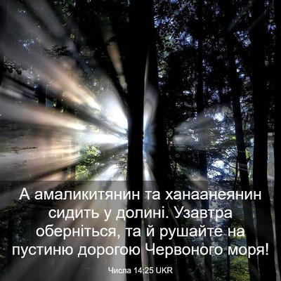 Picture 03 - Числа 14:25 UKR - А амаликитянин та - Bible Verse Picture