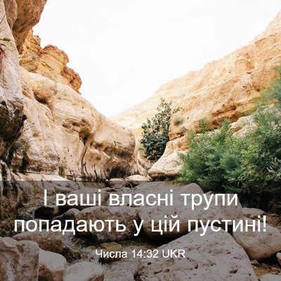 Picture 03 - Числа 14:32 UKR - І ваші власні трупи - Bible Verse Picture